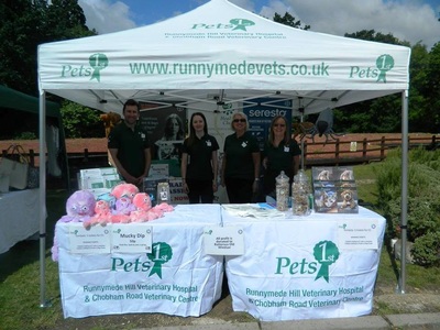 Runnymede Veterinary for pets  in Egham 
